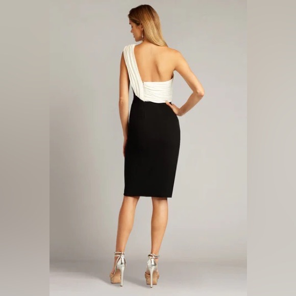 TADASHI SHOJI DRESS - Picture 4 of 6